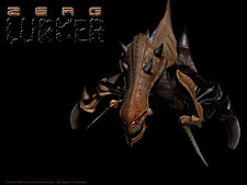 StarCraft Universe